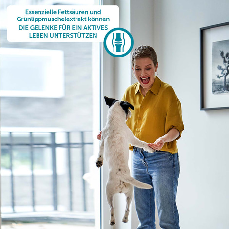 ZooRoyal Individual care - Adult Sensitive mit Lamm