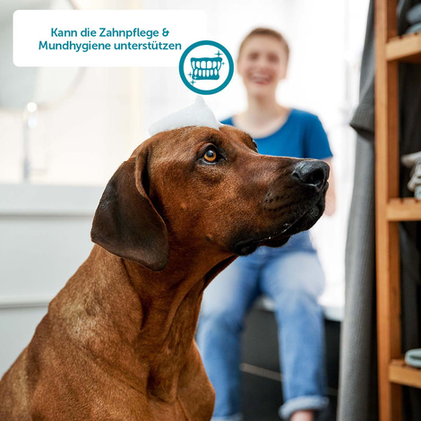 ZooRoyal Individual care Kaustange mit Hühnchen