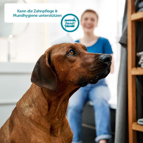ZooRoyal Individual care Kaustangen mit Hühnchen-Einlagen