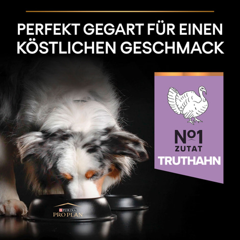 PRO PLAN Getreidefreie Rezeptur Medium & Large Adult Sensitive Digestion Truthahn