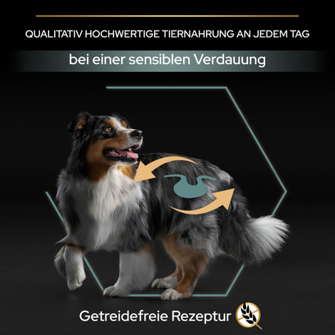 PRO PLAN Getreidefreie Rezeptur Medium & Large Adult Sensitive Digestion Truthahn
