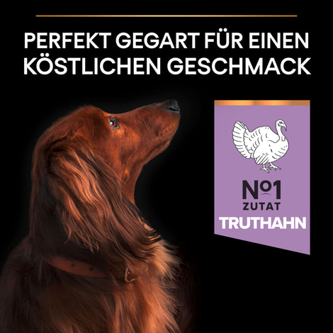 PRO PLAN Getreidefreie Rezeptur Small & Mini Adult Sensitive Digestion Truthahn 2,5kg