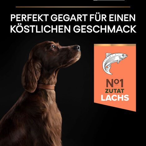 PRO PLAN Large Athletic Adult Sensitive Skin Lachs