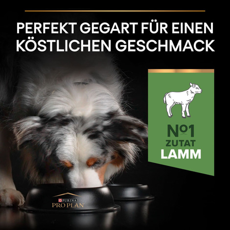 PRO PLAN Medium Adult Sensitive Digestion Lamm