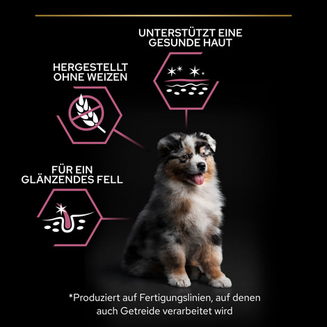 PRO PLAN Medium Puppy Sensitive Skin Lachs