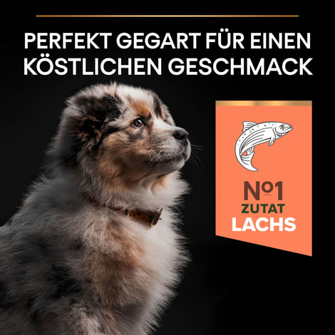 PRO PLAN Medium Puppy Sensitive Skin Lachs