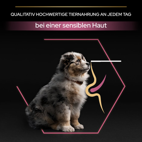PRO PLAN Medium Puppy Sensitive Skin Lachs