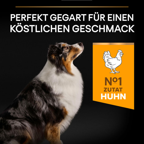 PRO PLAN Medium & Large Adult 7+ Huhn
