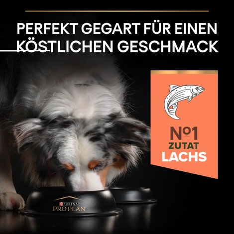 PRO PLAN Medium & Large Adult 7+ Sensitive Skin Lachs