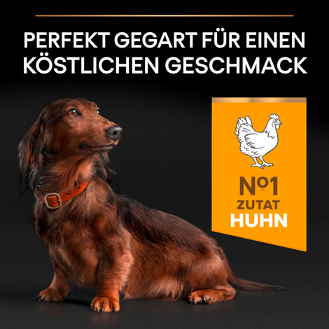 PRO PLAN Small & Mini Adult 9+ Huhn