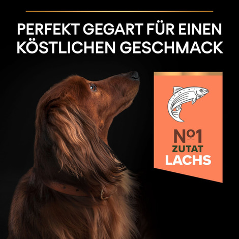 PRO PLAN Small & Mini Adult Sensitive Skin Lachs