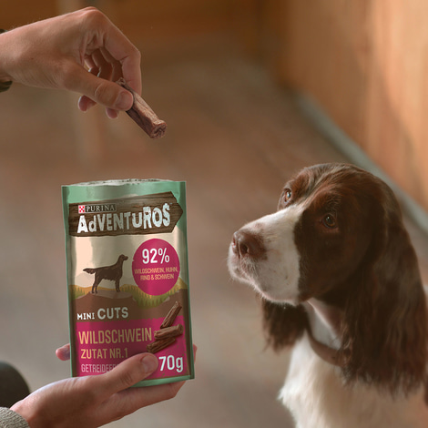 Purina AdVENTuROS Mini Cuts, Hundeleckerli getreidefrei mit Wildschwein