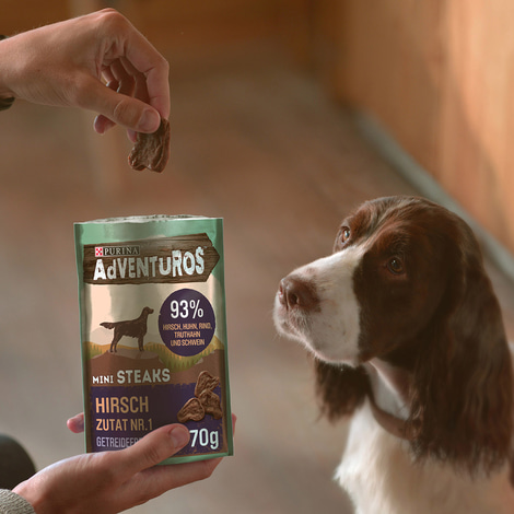 Purina AdVENTuROS Mini Steaks Hundeleckerli getreidefrei mit Hirsch