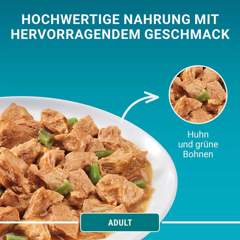 PURINA ONE Adult in Sauce Huhn 26x85g