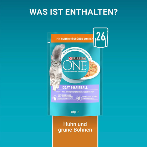 PURINA ONE COAT & HAIRBALL in Sauce Huhn
