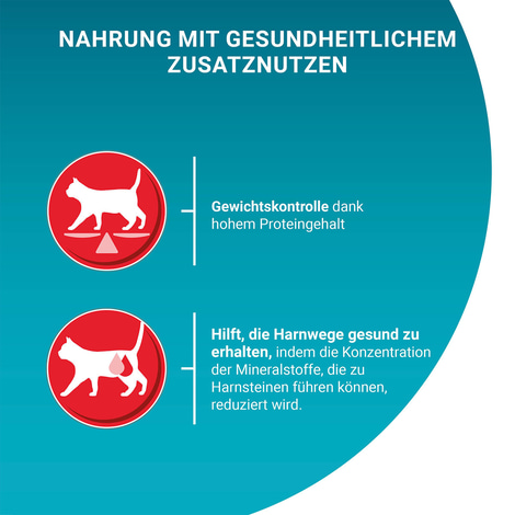 PURINA ONE STERILCAT in Sauce Lachs 26x85g
