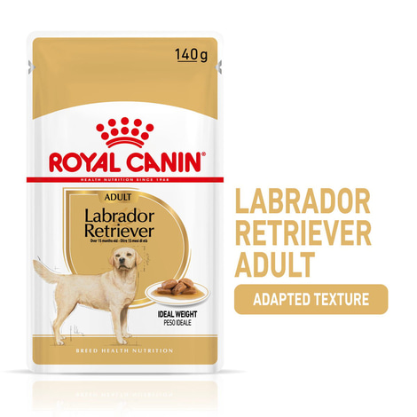 ROYAL CANIN Labrador Retriever Adult 3kg + Labrador Adult in Soße 10x140g