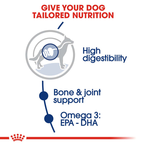 ROYAL CANIN Maxi Adult 4kg + Maxi Adult in Soße 10x140g