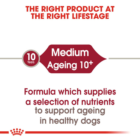 ROYAL CANIN MEDIUM Ageing 10+ 15kg + MEDIUM Ageing 10x140g