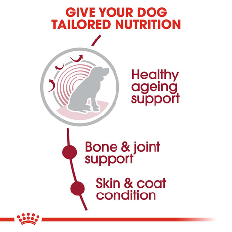 ROYAL CANIN MEDIUM Ageing 10+ 15kg + MEDIUM Ageing 10x140g