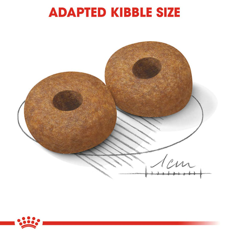 ROYAL CANIN MEDIUM Ageing 10+ 15kg + MEDIUM Ageing 10x140g