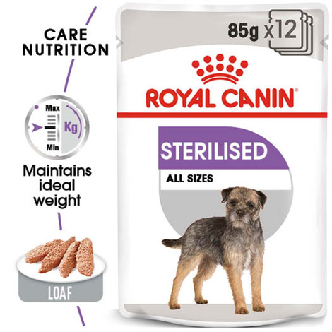 ROYAL CANIN STERILISED MINI 8kg + STERILISED Mousse 12x85g
