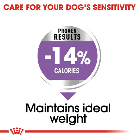 ROYAL CANIN STERILISED MINI 8kg + STERILISED Mousse 12x85g