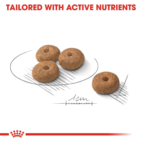 ROYAL CANIN STERILISED MINI 8kg + STERILISED Mousse 12x85g