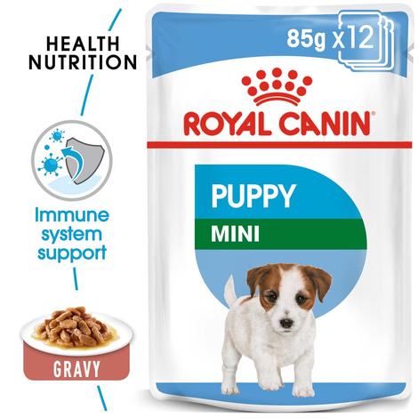 ROYAL CANIN Mini Puppy 2kg + Mini Puppy in Soße 12x85g
