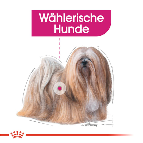 ROYAL CANIN EXIGENT MINI Trockenfutter für wählerische kleine Hunde 3kg