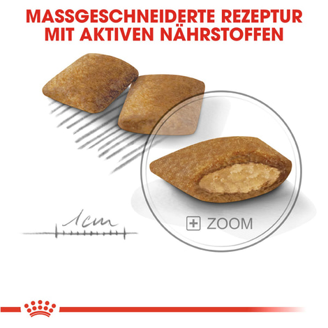 ROYAL CANIN EXIGENT MINI Trockenfutter für wählerische kleine Hunde 3kg