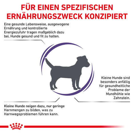 ROYAL CANIN® Expert ADULT SMALL DOGS Trockenfutter für Hunde