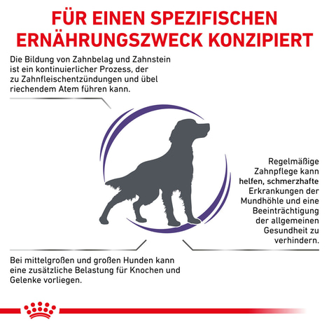 ROYAL CANIN® Expert DENTAL MEDIUM & LARGE DOGS Trockenfutter für Hunde