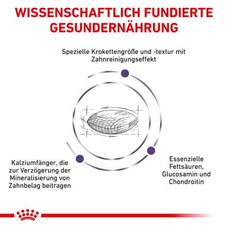 ROYAL CANIN® Expert DENTAL MEDIUM & LARGE DOGS Trockenfutter für Hunde