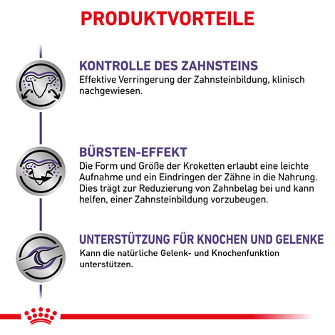ROYAL CANIN® Expert DENTAL MEDIUM & LARGE DOGS Trockenfutter für Hunde