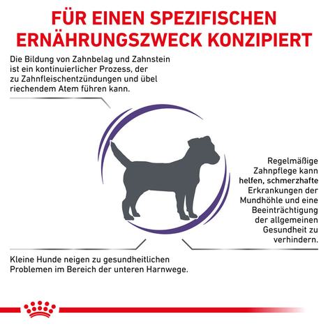 ROYAL CANIN® Expert DENTAL SMALL DOGS Trockenfutter für Hunde