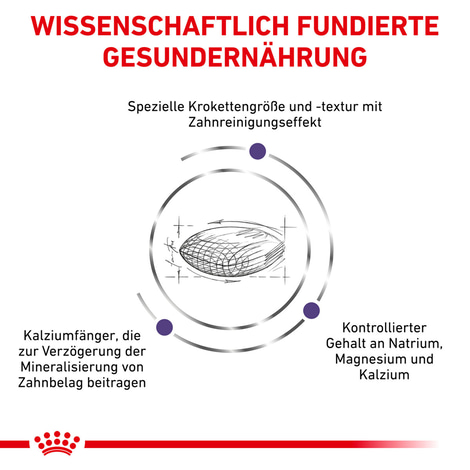 ROYAL CANIN® Expert DENTAL SMALL DOGS Trockenfutter für Hunde