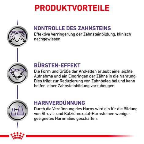 ROYAL CANIN® Expert DENTAL SMALL DOGS Trockenfutter für Hunde