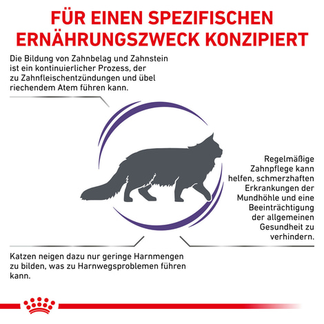 ROYAL CANIN® Expert DENTAL Trockenfutter für Katzen