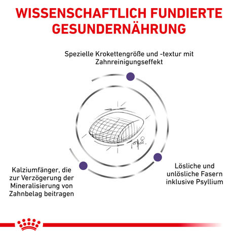 ROYAL CANIN® Expert DENTAL Trockenfutter für Katzen