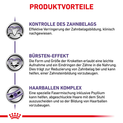 ROYAL CANIN® Expert DENTAL Trockenfutter für Katzen