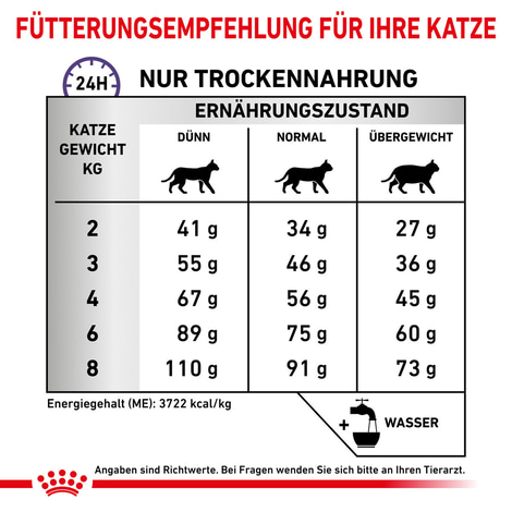ROYAL CANIN® Expert DENTAL Trockenfutter für Katzen