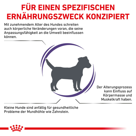 ROYAL CANIN® Expert MATURE CONSULT SMALL DOGS Trockenfutter für Hunde