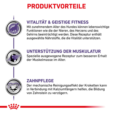 ROYAL CANIN® Expert MATURE CONSULT SMALL DOGS Trockenfutter für Hunde