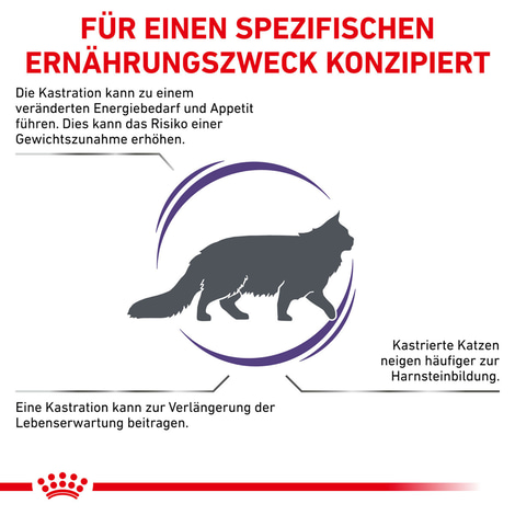 ROYAL CANIN® Expert NEUTERED SATIETY BALANCE Trockenfutter für Katzen