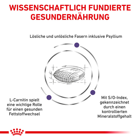 ROYAL CANIN® Expert NEUTERED SATIETY BALANCE Trockenfutter für Katzen