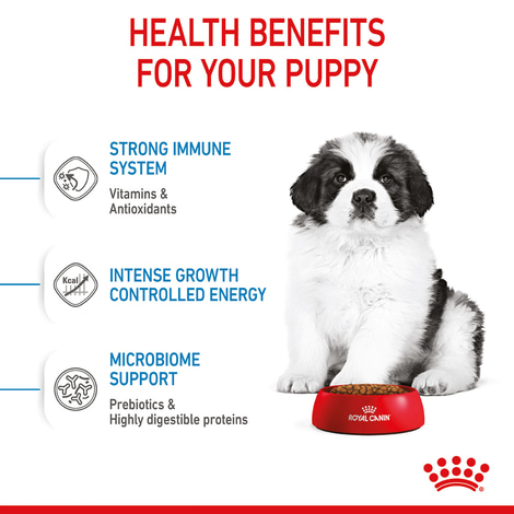 ROYAL CANIN GIANT Puppy Trockenfutter für Welpen sehr großer Rassen