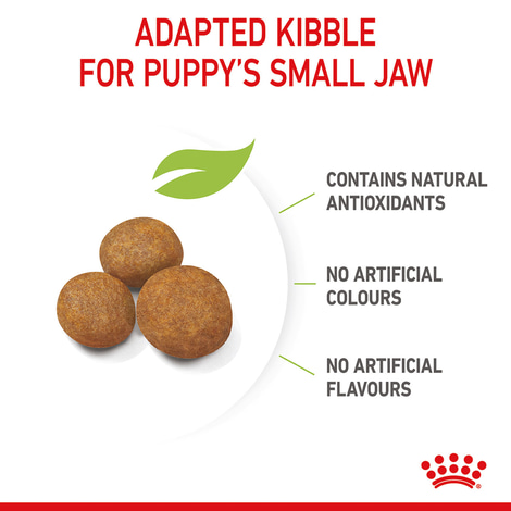 ROYAL CANIN GIANT Puppy Trockenfutter für Welpen sehr großer Rassen