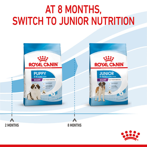 ROYAL CANIN GIANT Puppy Trockenfutter für Welpen sehr großer Rassen
