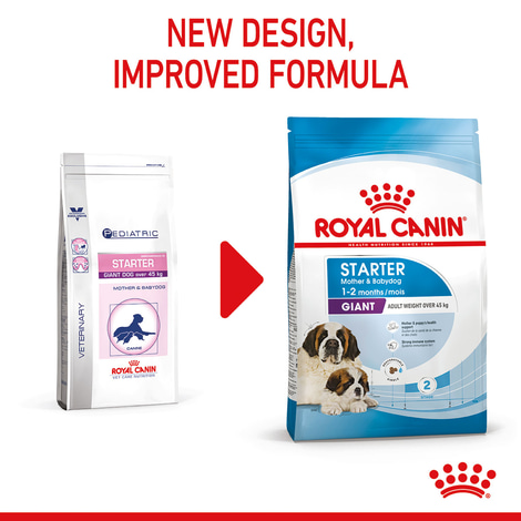 ROYAL CANIN GIANT Starter für tragende Hündin und Welpen sehr großer Rassen